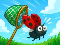 Catch Insect image