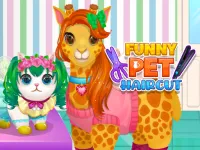 Funny Pet Haircut 2 image