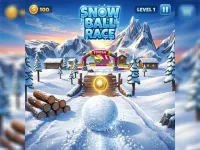 image bg Snow Ball Race