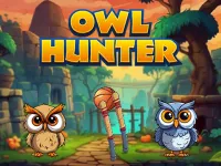 Owl Hunter: Willowvale Slingshot Adventure image