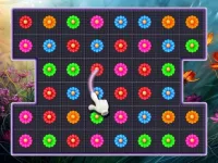 Bloom Crush image